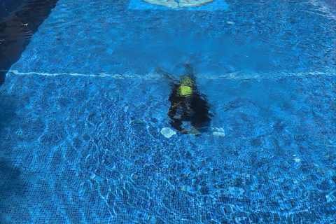 Buzo de OK Fugas de Agua inspeccionando el vaso de una piscina bajo el agua